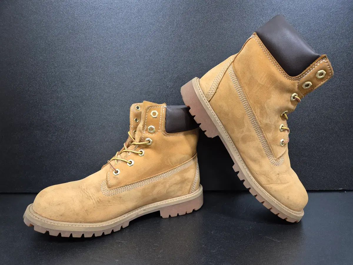  ティンバーランド メンズ ブーツ 250 その他 ブーツ 革靴