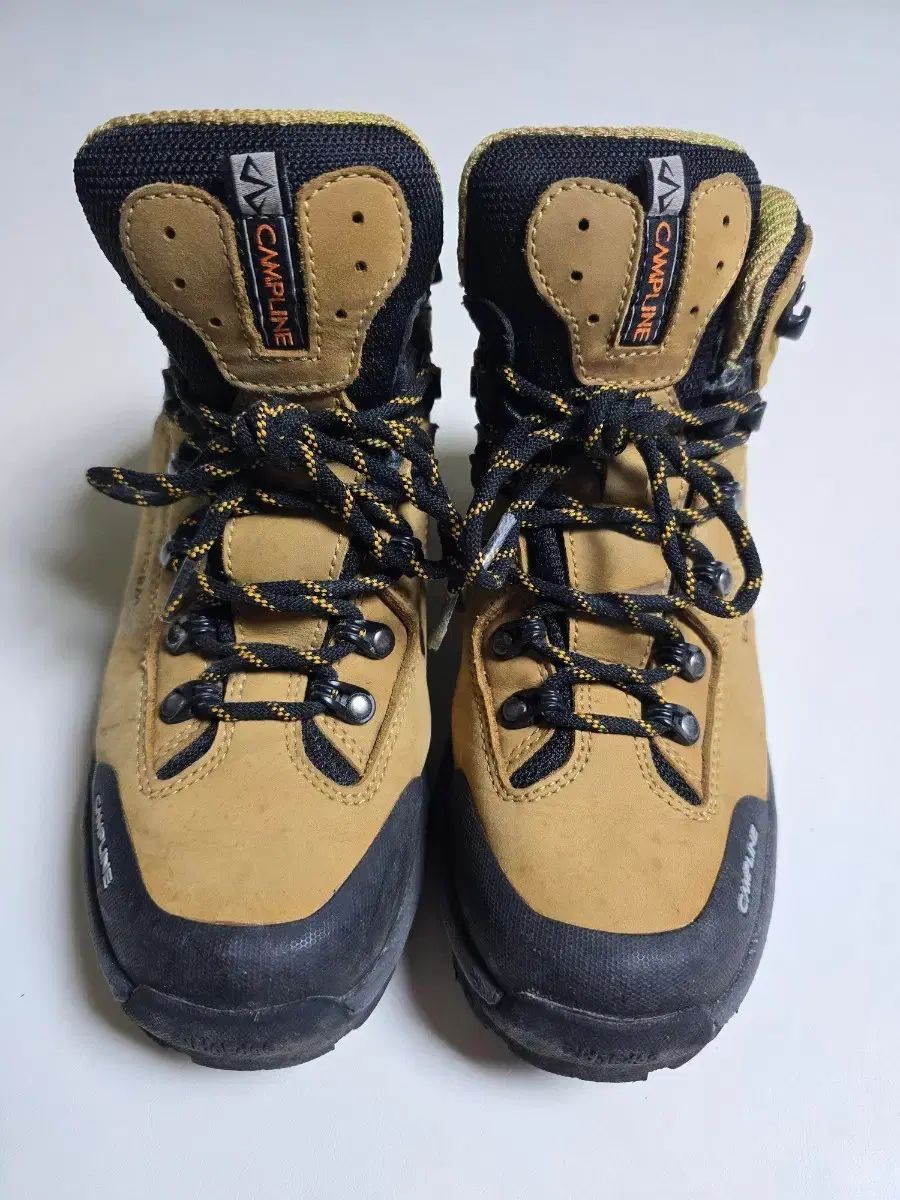 CAMPLINE サン SAN ブラウン