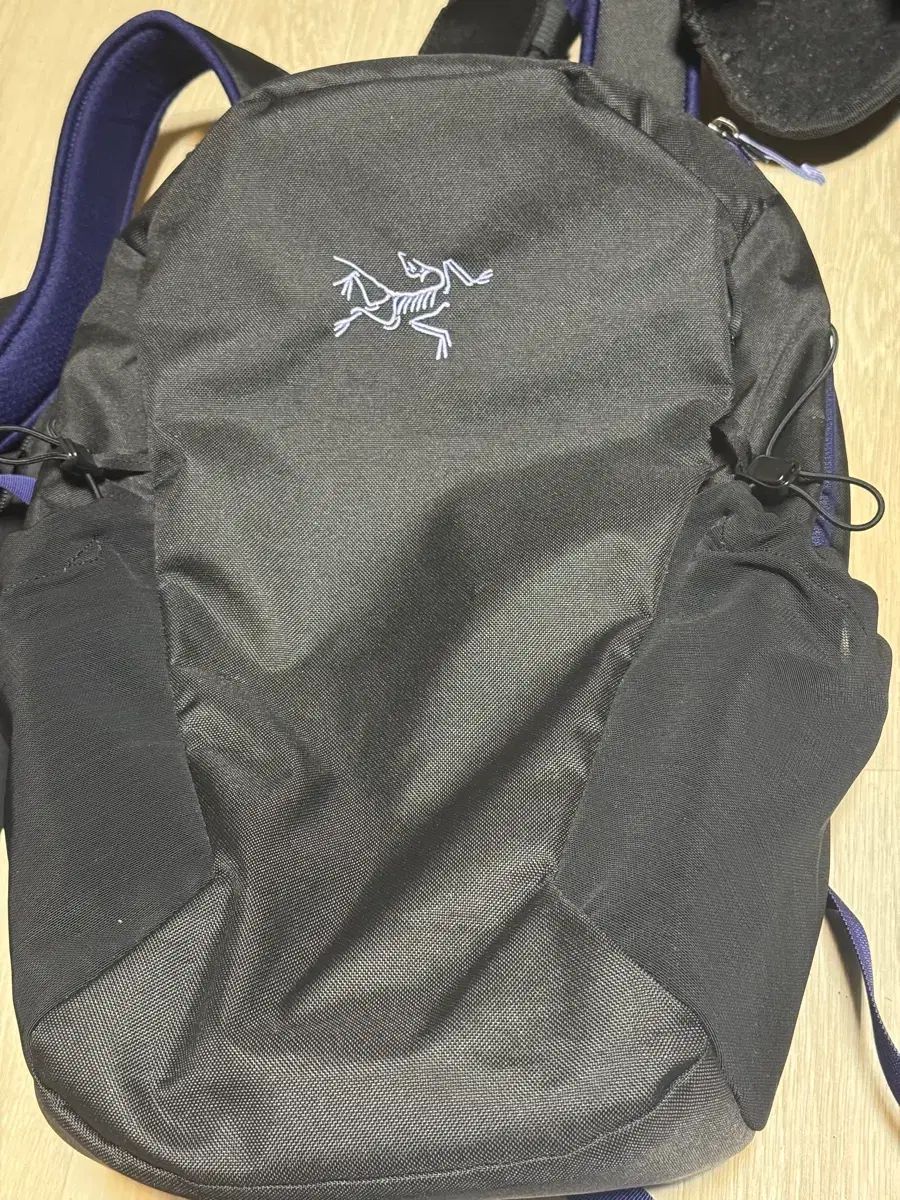 ARC TERYX アークテリクス MANTIS 16 Tシャツ