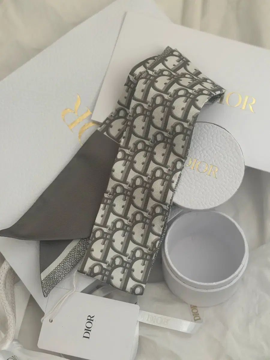 ディオール オブリーク スカーフ ツイル ケース お買い物バッグ