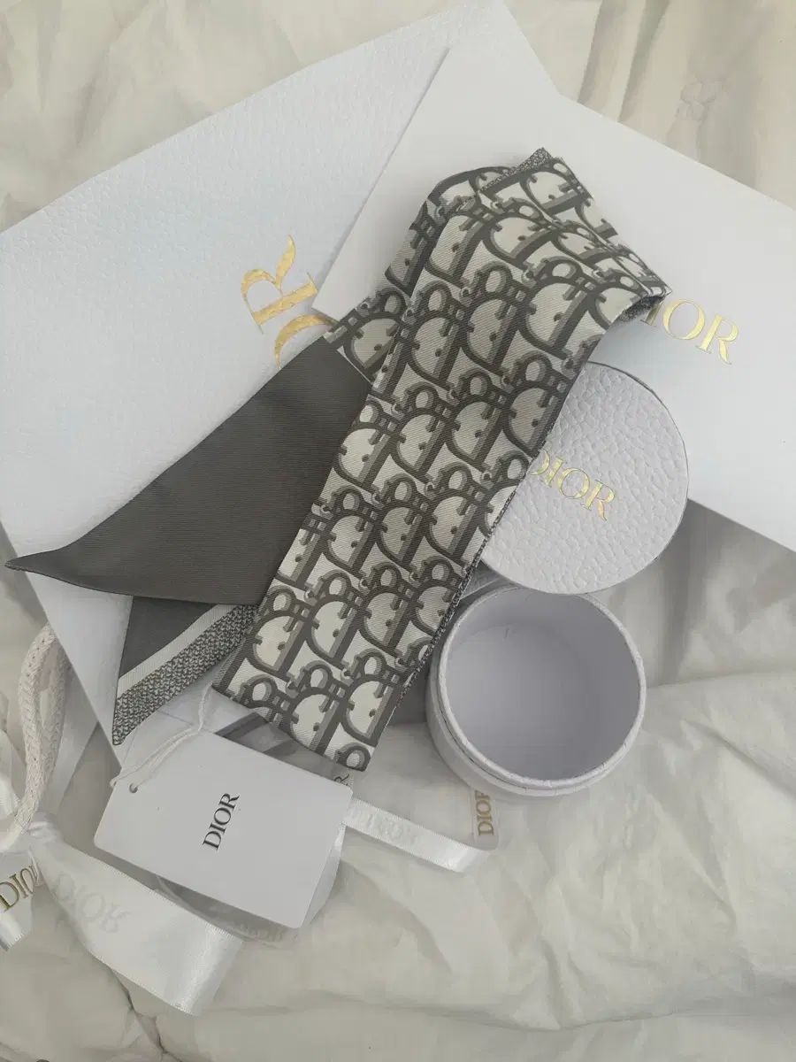 ディオール オブリーク スカーフ ツイル ケース お買い物バッグ