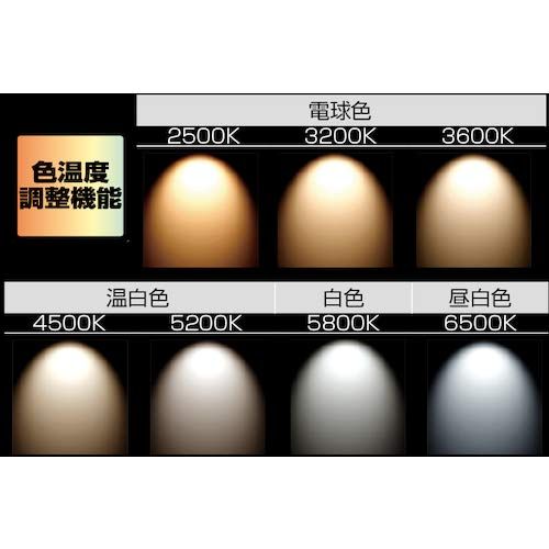 Tajima LEDワークライトR