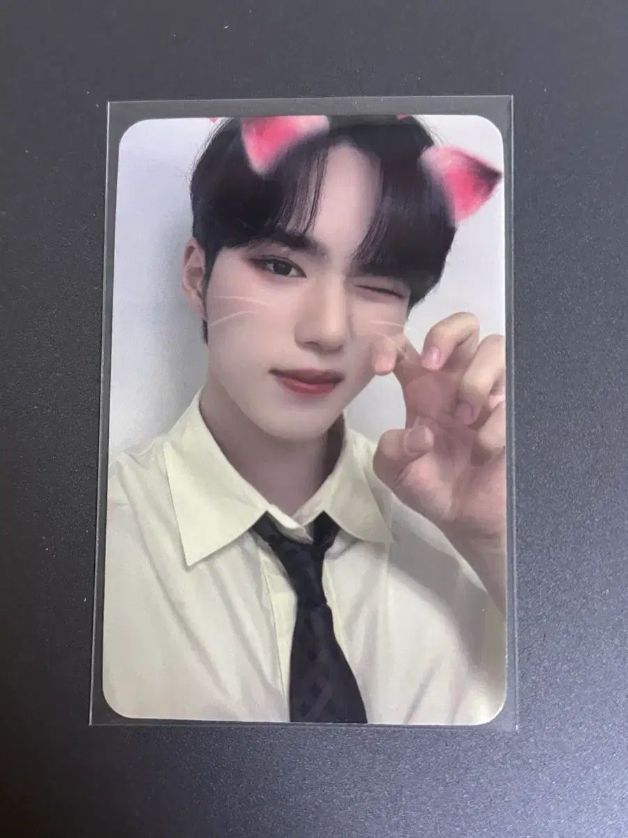 WEi アルディワン キム ジュンソ トレカ