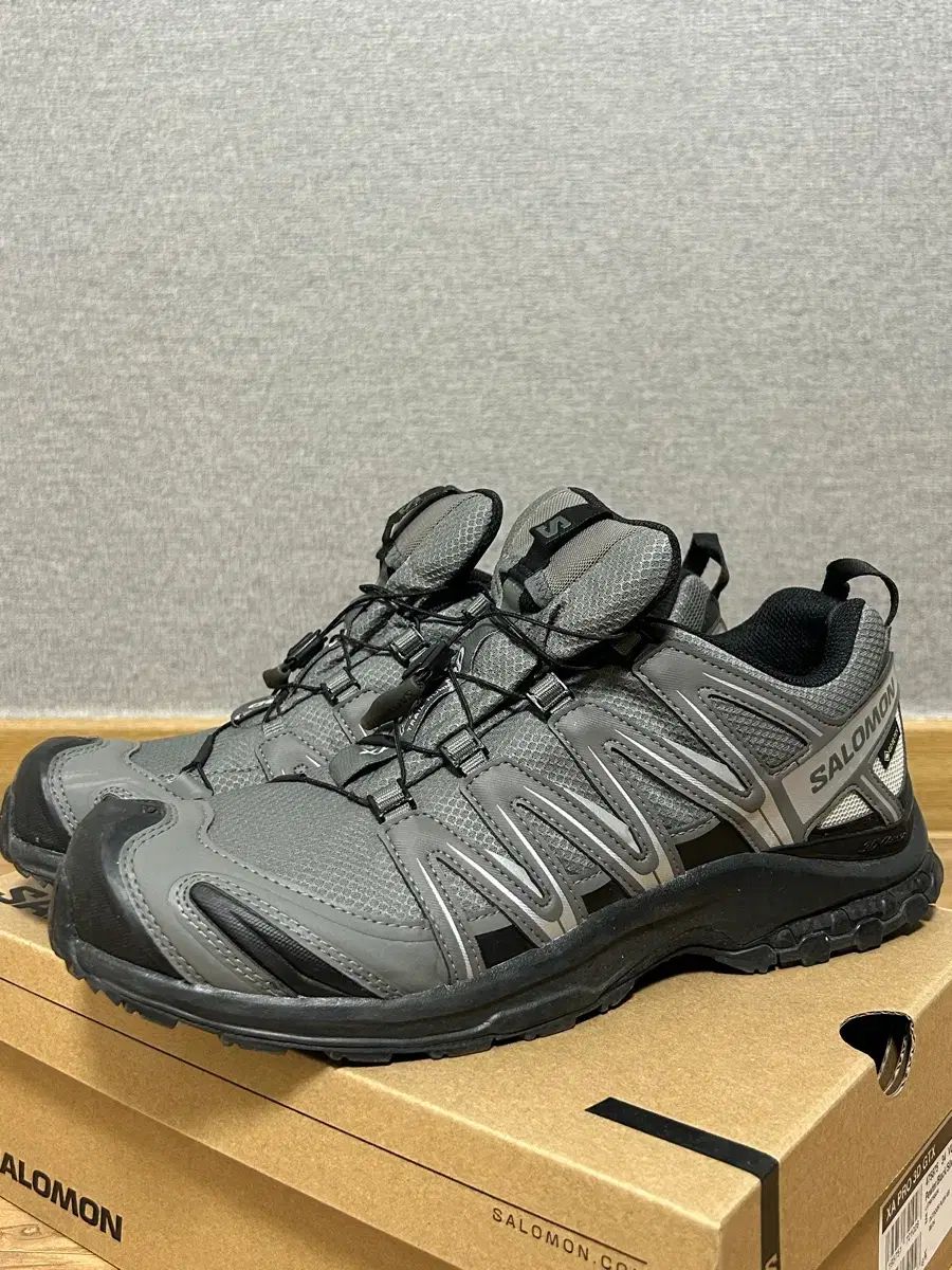 SALOMON XA PRO 3 D gtx