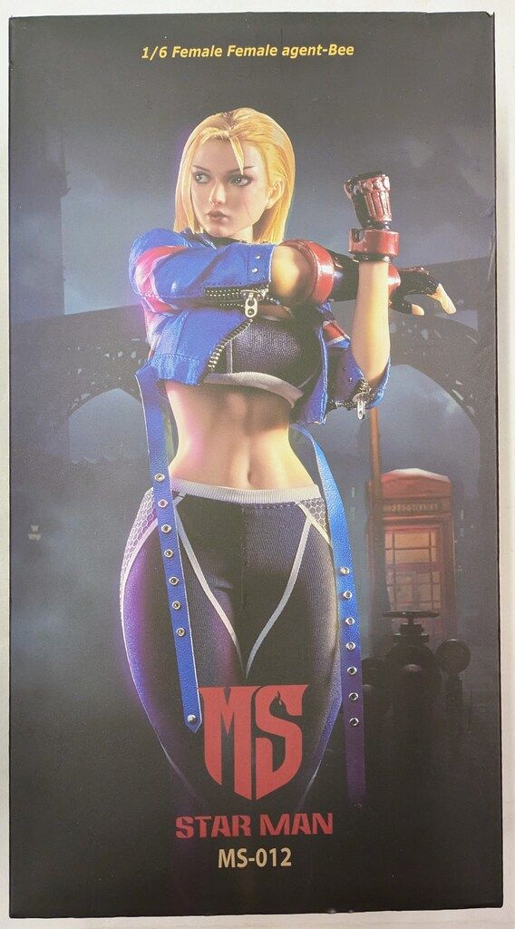 STAR MAN FEMELE FEMALE AGENT BEE CAMMY 2.0 1|6スケール