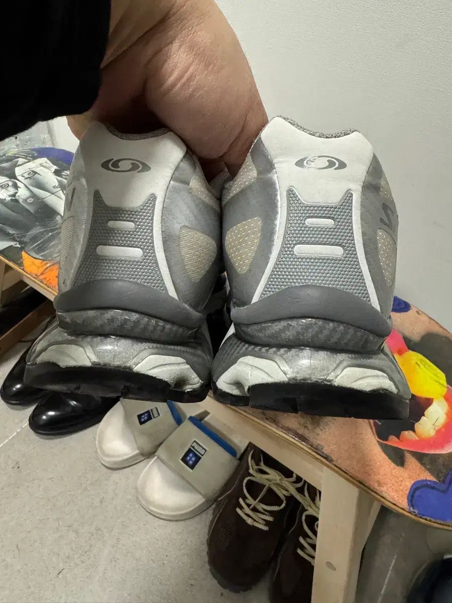 SALOMON サロモン