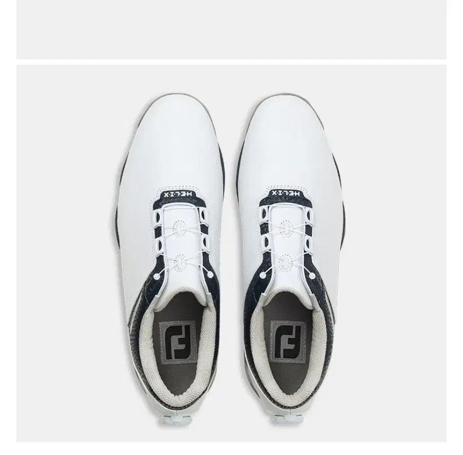 FootJoy ALL DNA 2 0 Helix BoA 防水 メンズ ゴルフシューズ