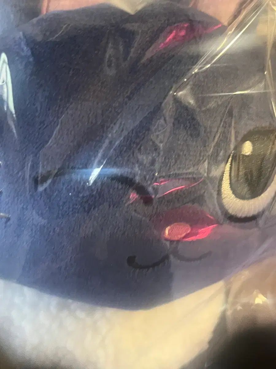 RIIZE ライズ 東京 ポップアップ ウォンビン WONBIN トゥーニャンダック スシぬいぐるみ