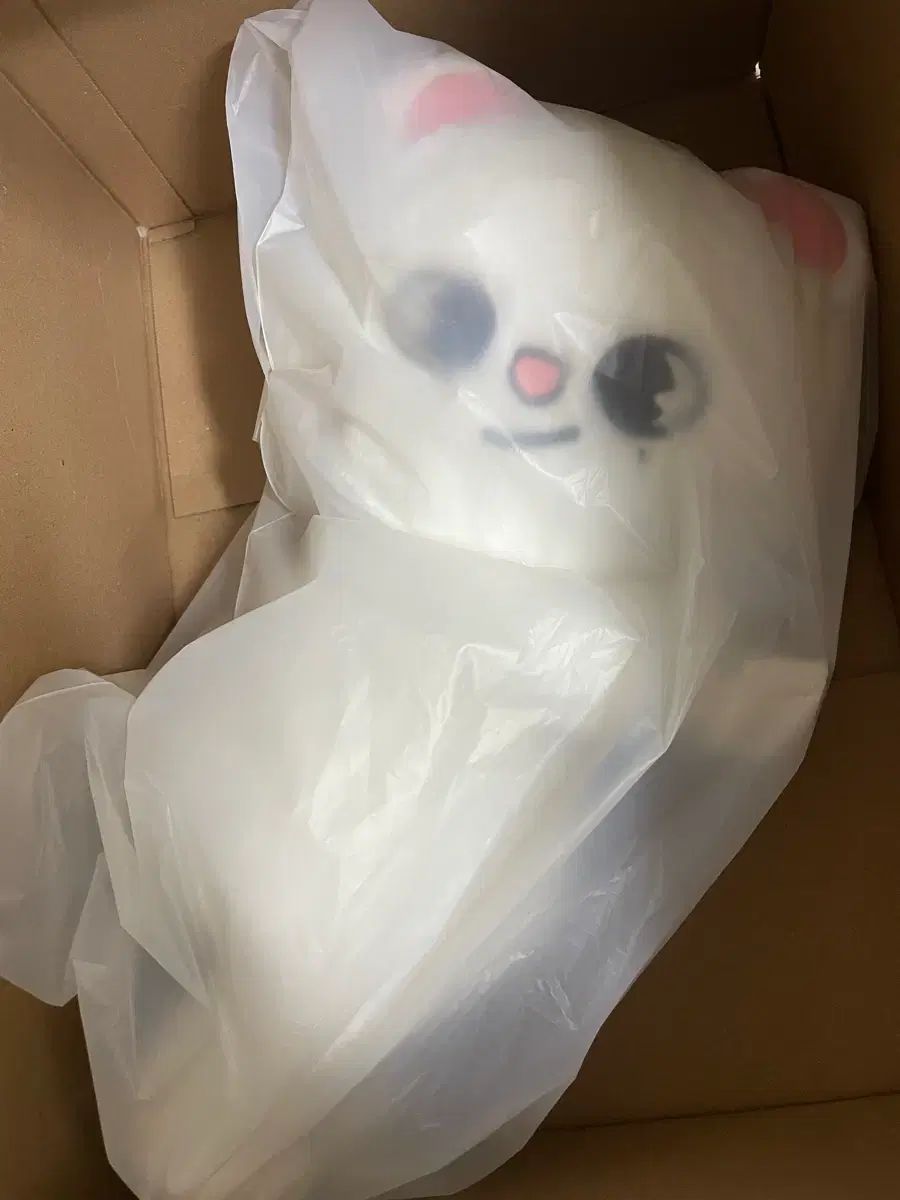 Stray Kids ストレイキッズ スキズ SKZ ジニレット PLUSH バッグ