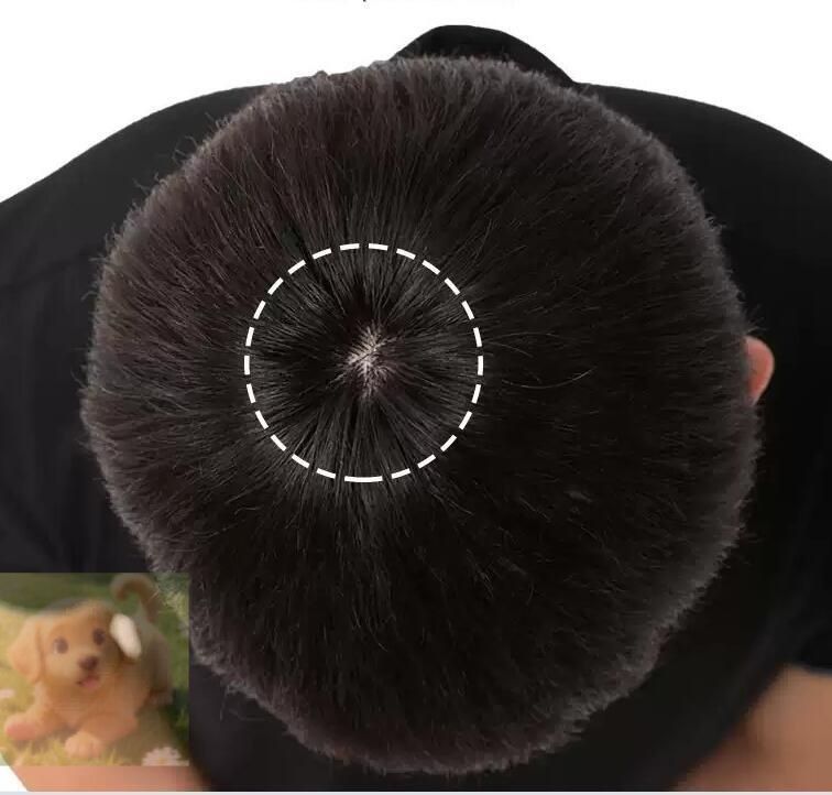 新入荷メンズウィッグ フルウィッグ かつら 男性用 ショート 脱毛症