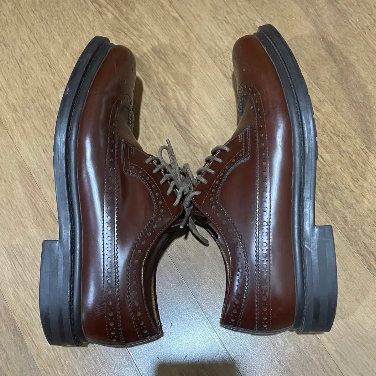 ウィングチップ ドビ