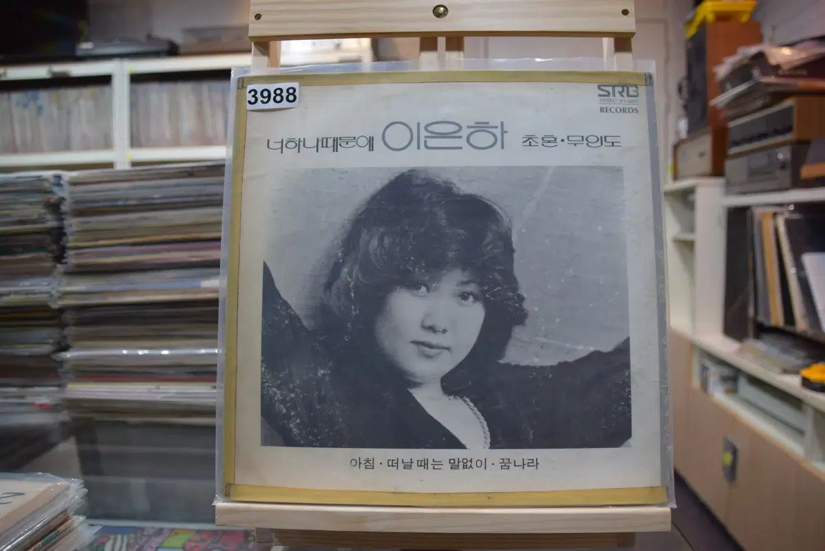 イ ウンハ 造幣局近く あなたのうちの一人のせいで