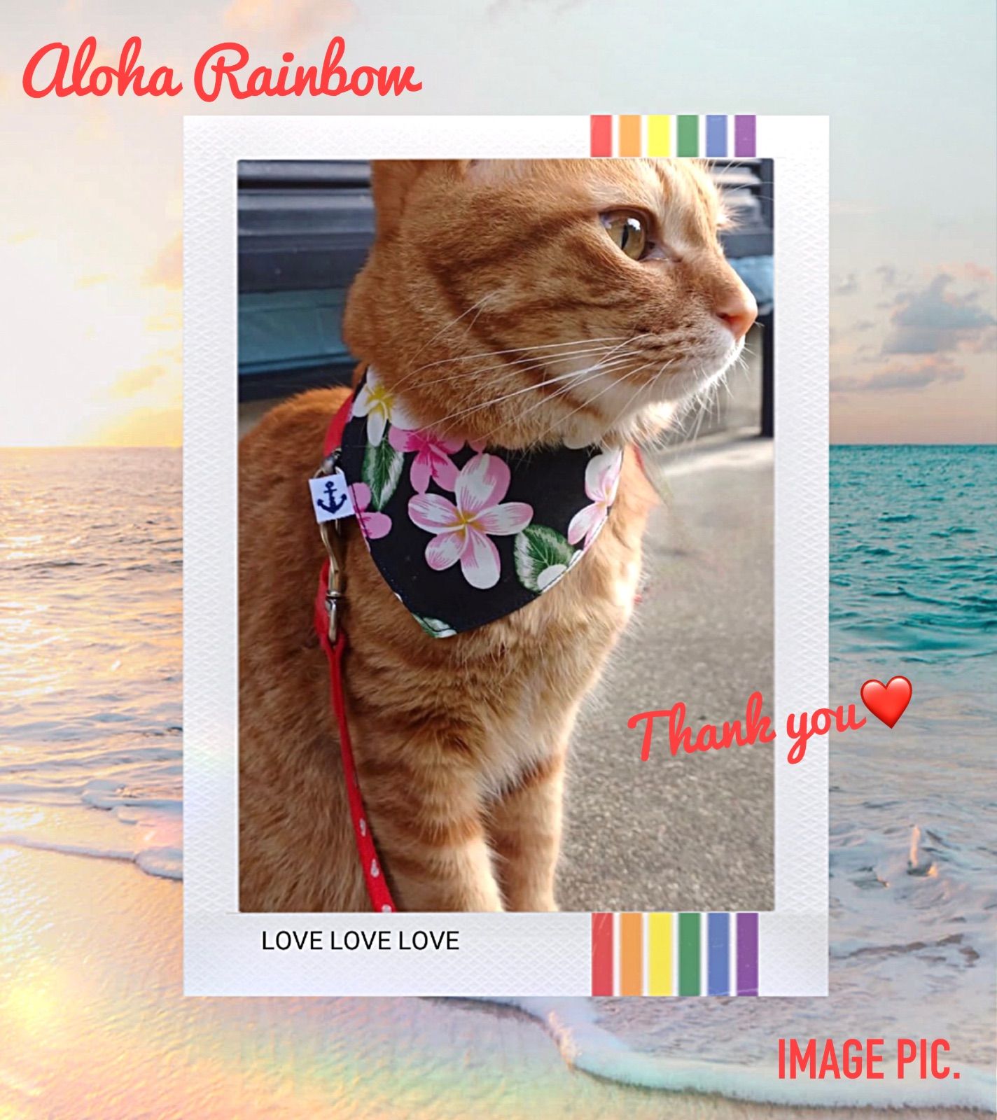 ☘️No.2827☘️ 犬猫用 リバーシブル バンダナ スタイ XSサイズ 花柄