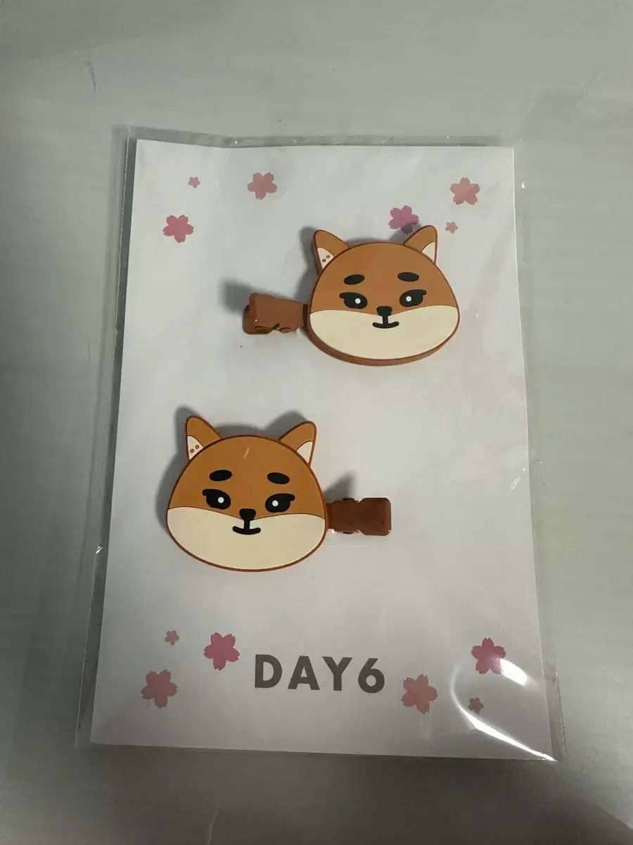 DAY 6 デイシックス 横浜 ヘアピン