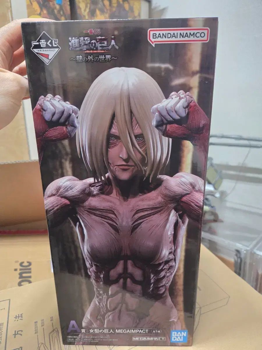 ボックスのみ) 進撃の巨人 レディース型巨人 ボックス 出品 - メルカリ