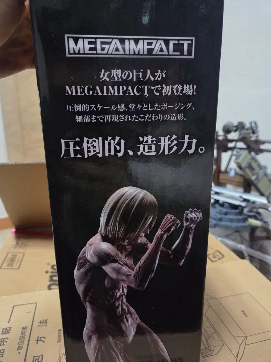 ボックスのみ) 進撃の巨人 レディース型巨人 ボックス 出品 - メルカリ