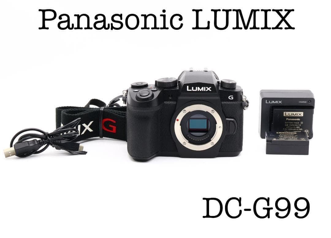 Panasonic LUMIX DC G 99 ショット数132