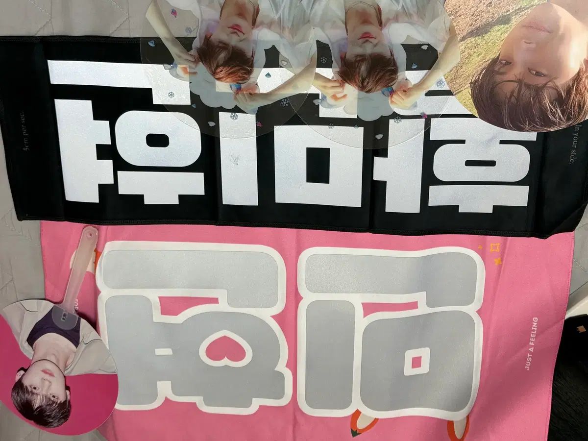 在庫処分 ファン