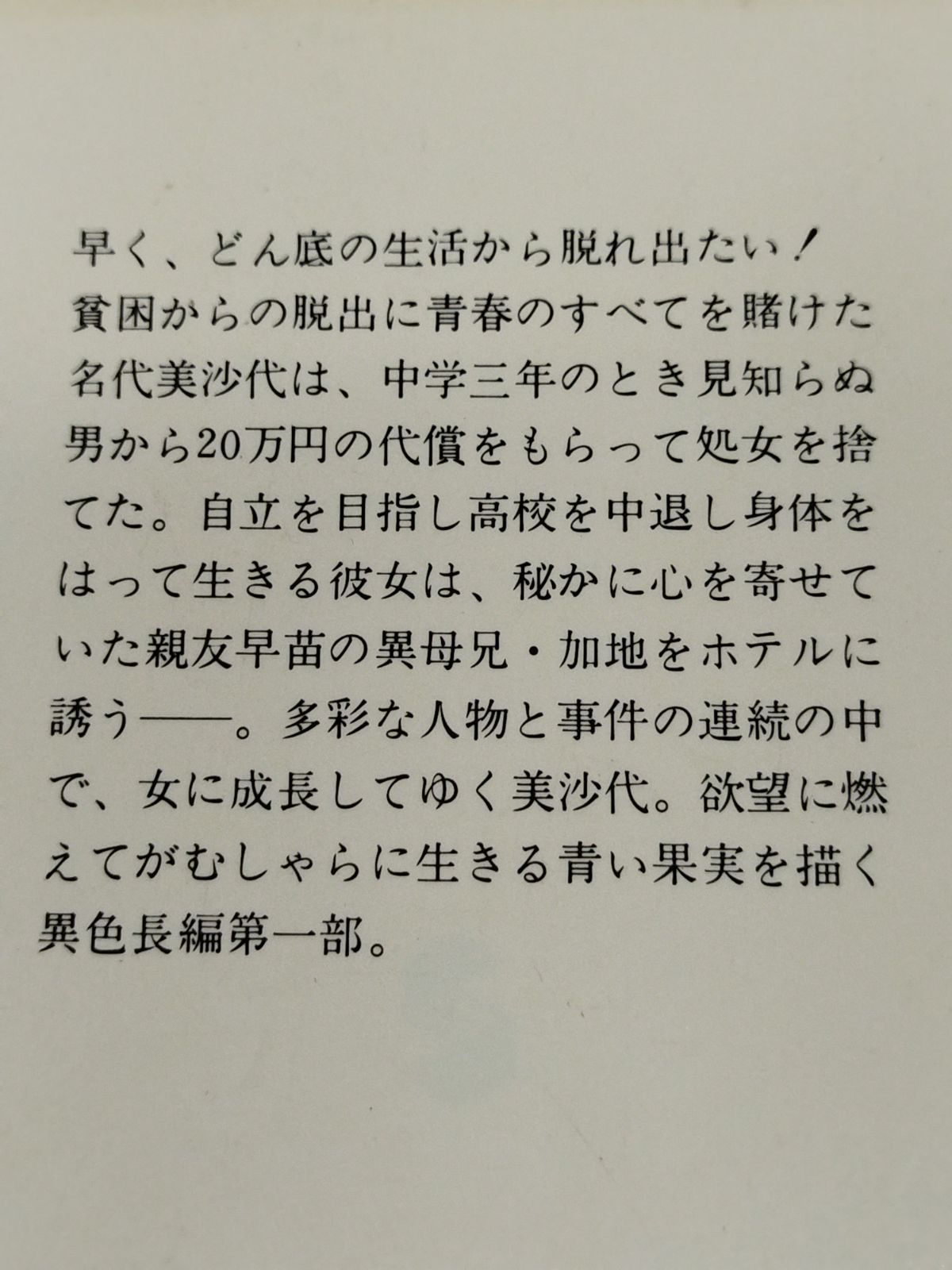 女の太陽 Ⅰ 茜色の章/黒岩重吾/集英社文庫 - メルカリ
