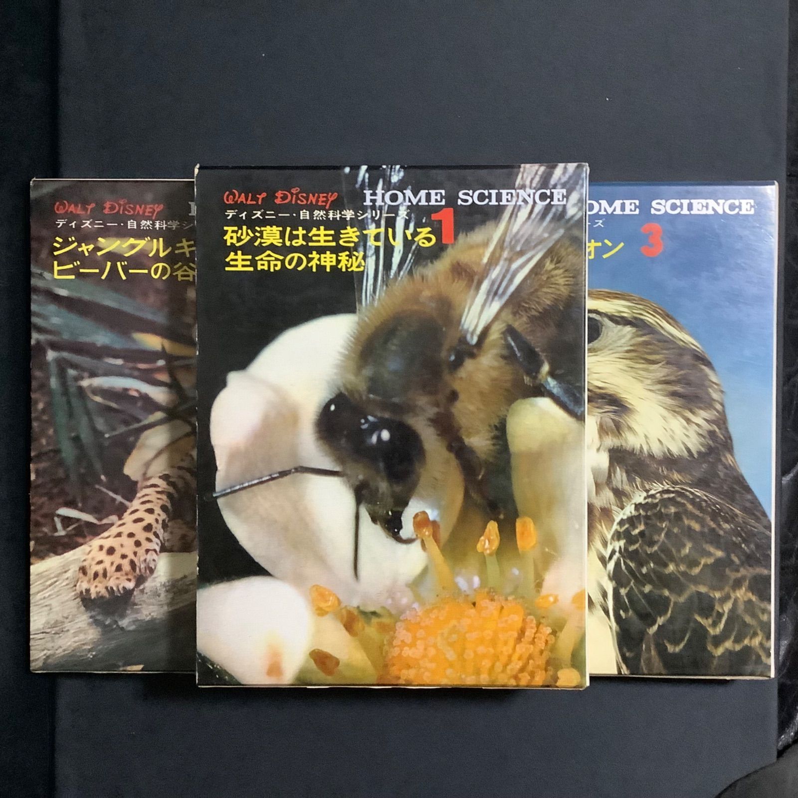 ディズニー 自然科学シリーズ 1 砂漠は生きている 生命の神秘 2 ジャングルキャット ビーバーの谷 3 アフリカのライオン ほろびゆく草原 大型本