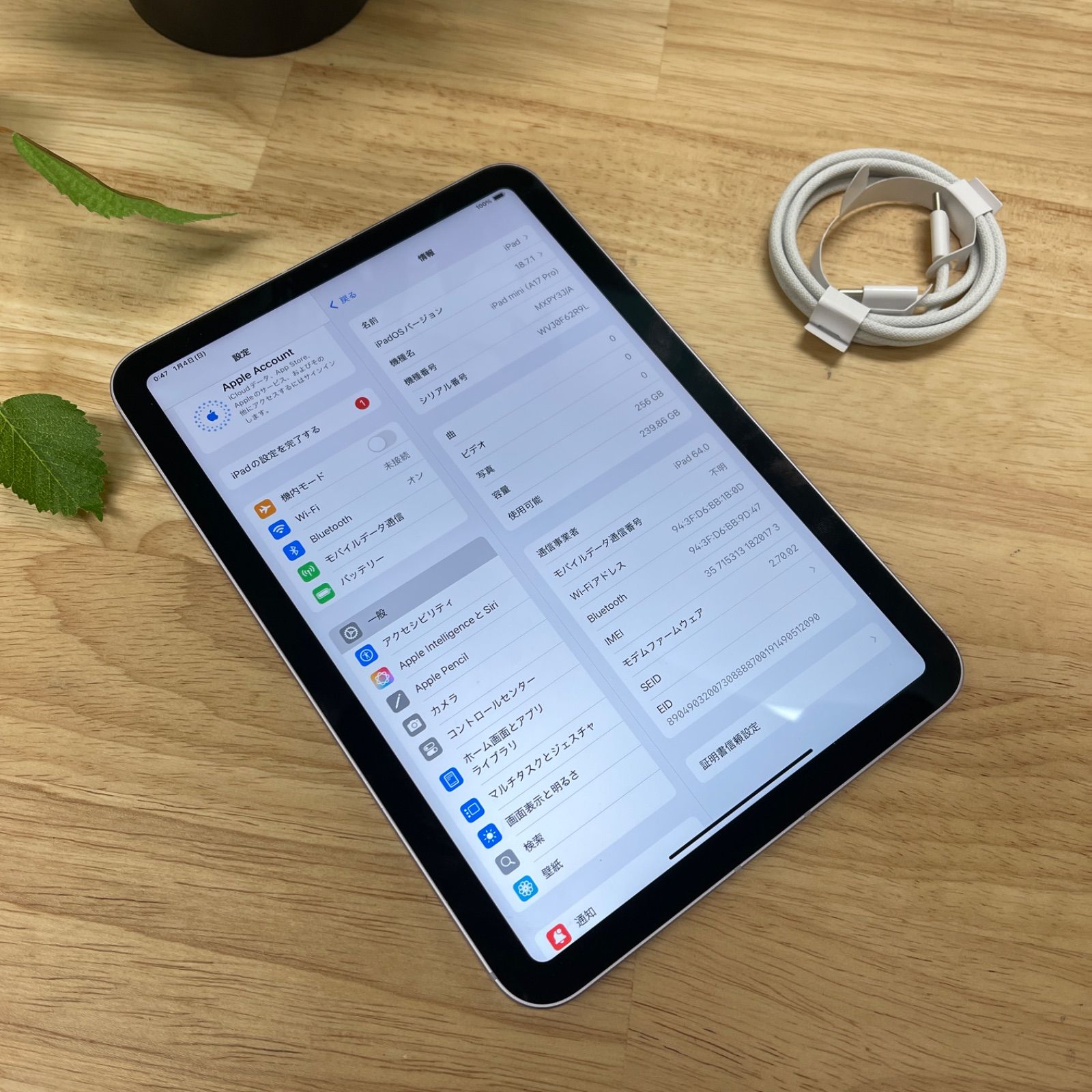 iPad Mini A 17 Pro 256 GB パープル WiFi Cellular モデル