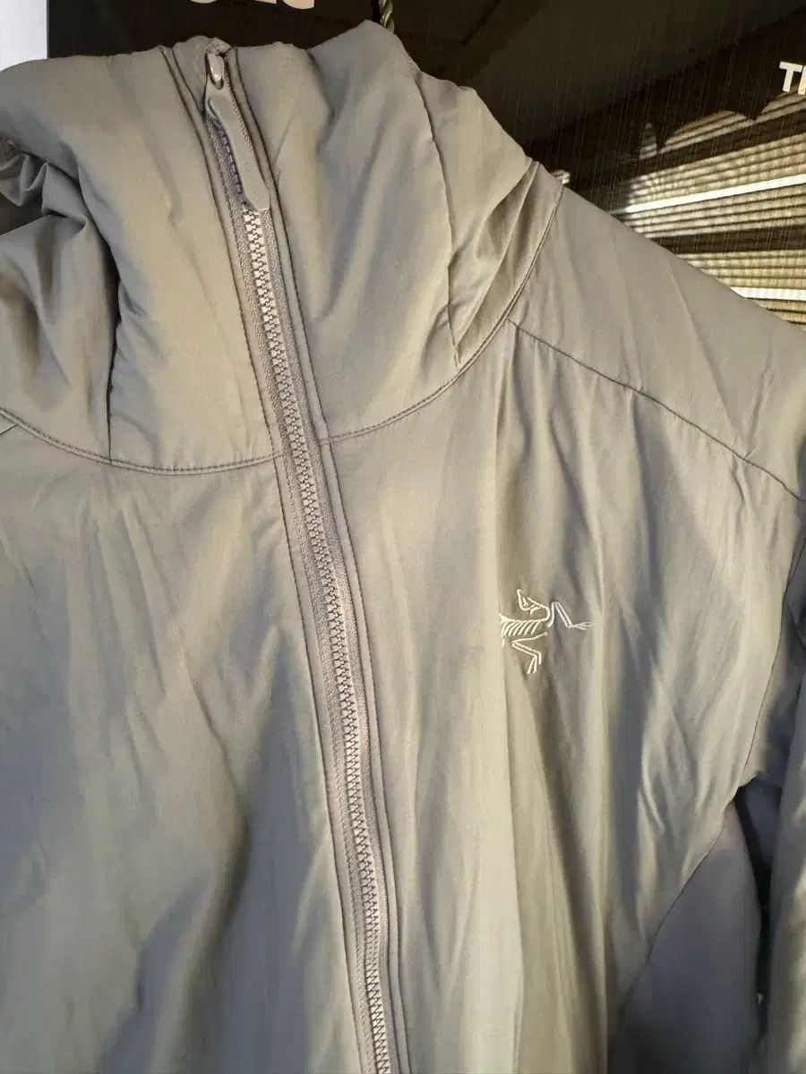 アトムフーディ