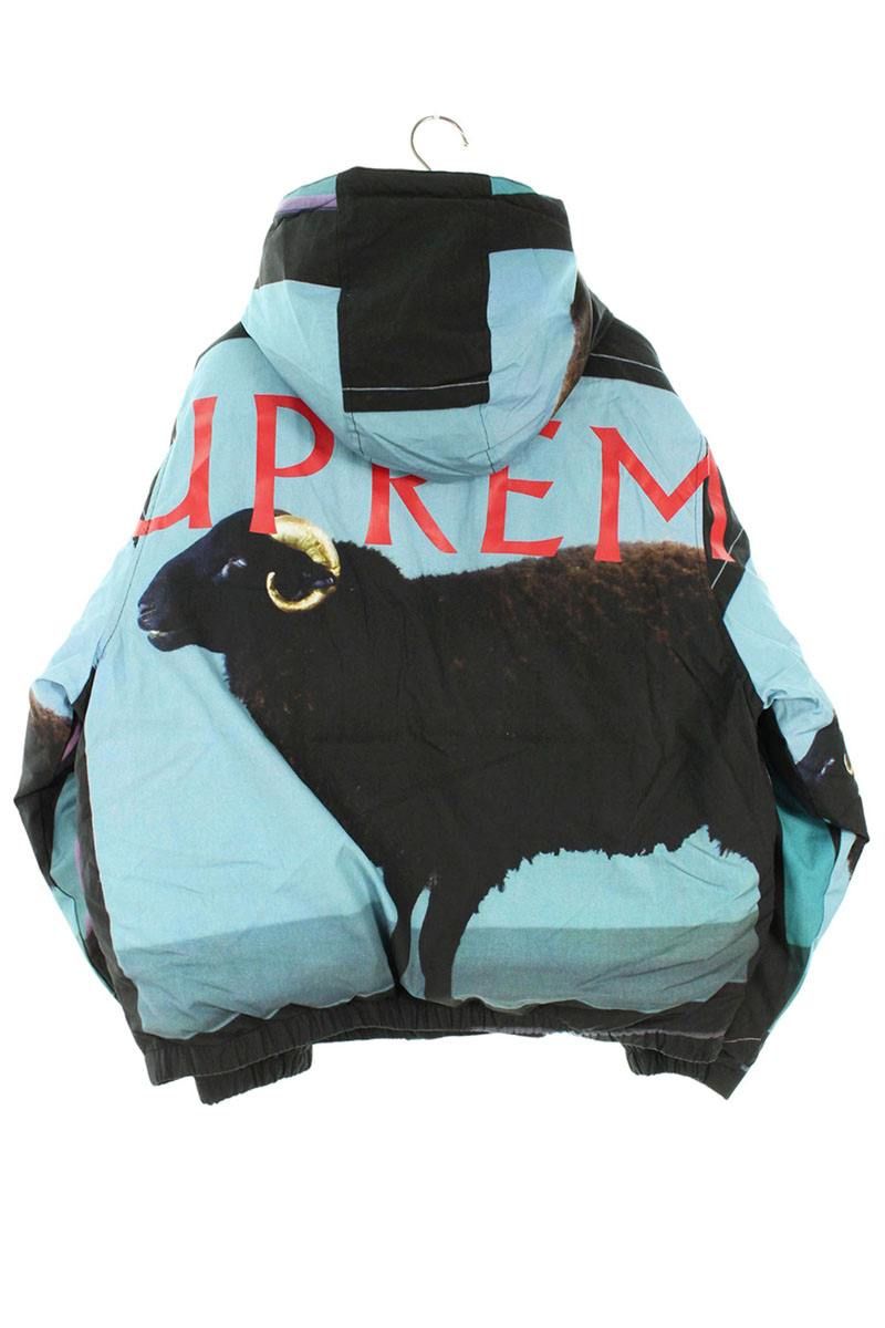 シュプリーム 25SS Damien Hirst Down Puffer Jacket ダミアンハースト