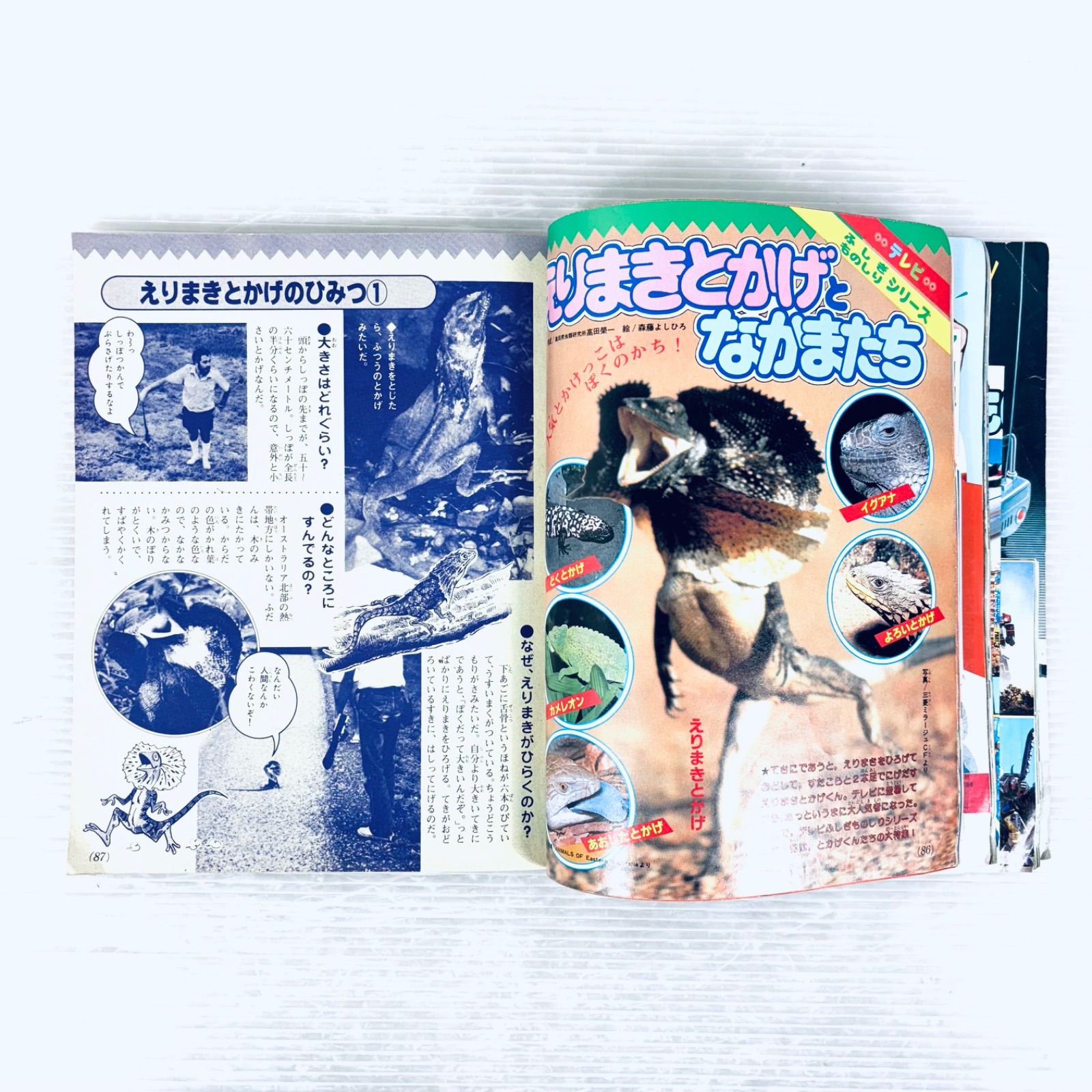雑誌 テレビマガジン 1984年 昭和59年8月号 バイオマン 宇宙刑事 