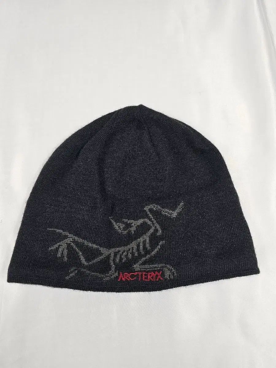 アークテリクス BIRD ヘッド トーク ビーニー