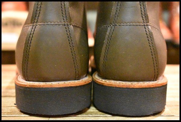 深緑 アイリッシュセッター