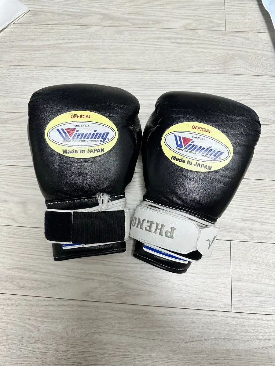 ウィニンググローブ 8オンス コンバーター含む 状態良し