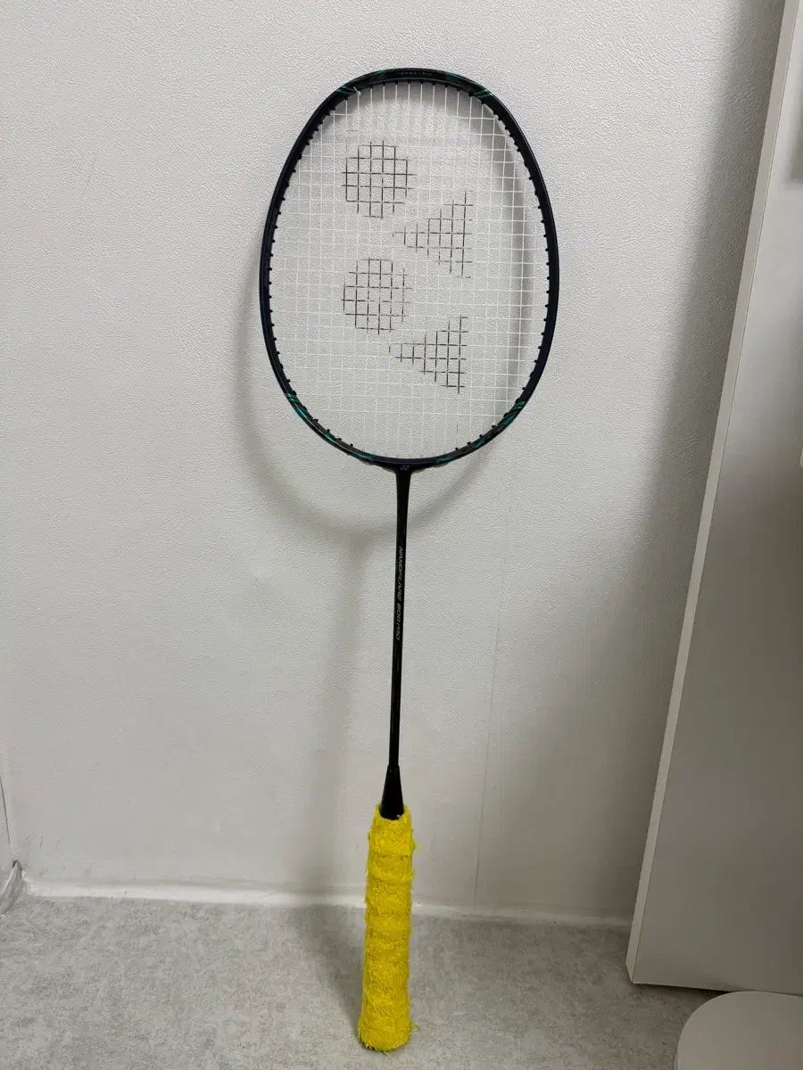 YONEX ヨネックス ナノレイヤー 800 プロ
