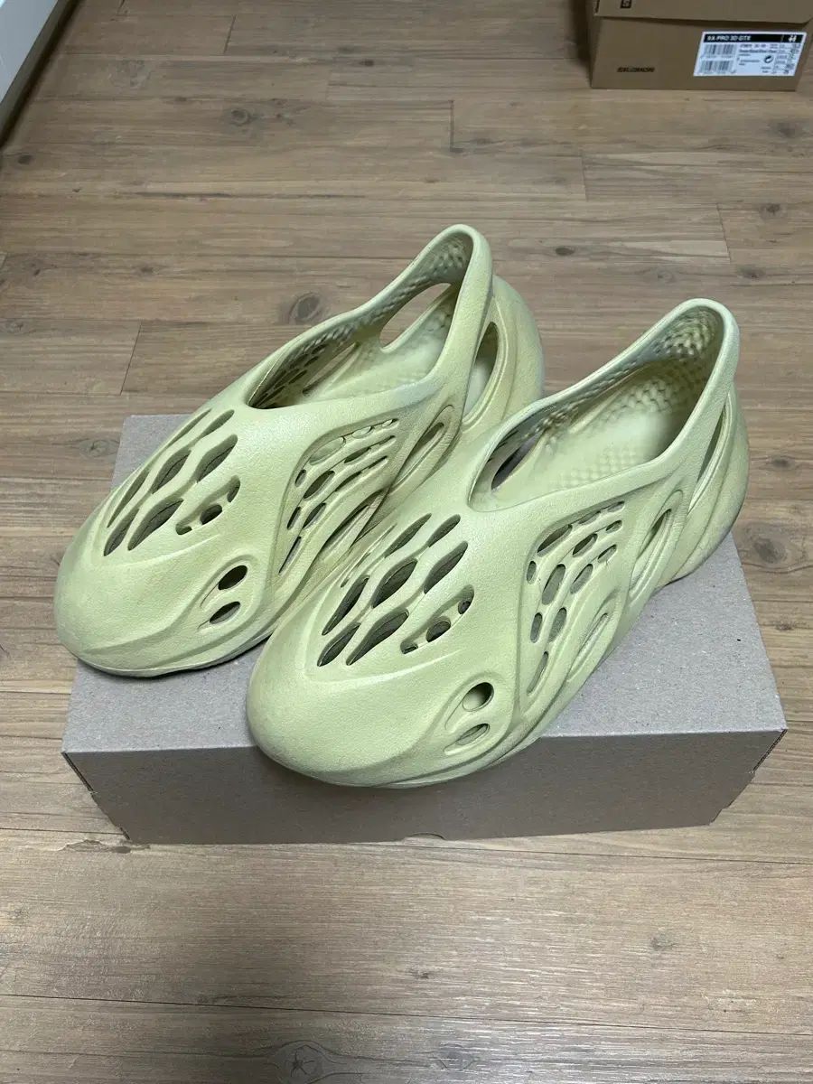 イージー フォームランナー サルファー sulfur