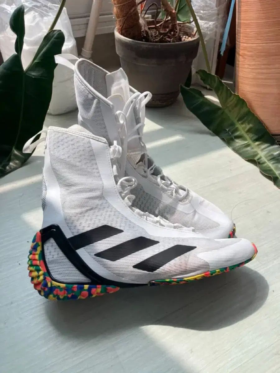 アディダス スピデックス ボクシング シューズ