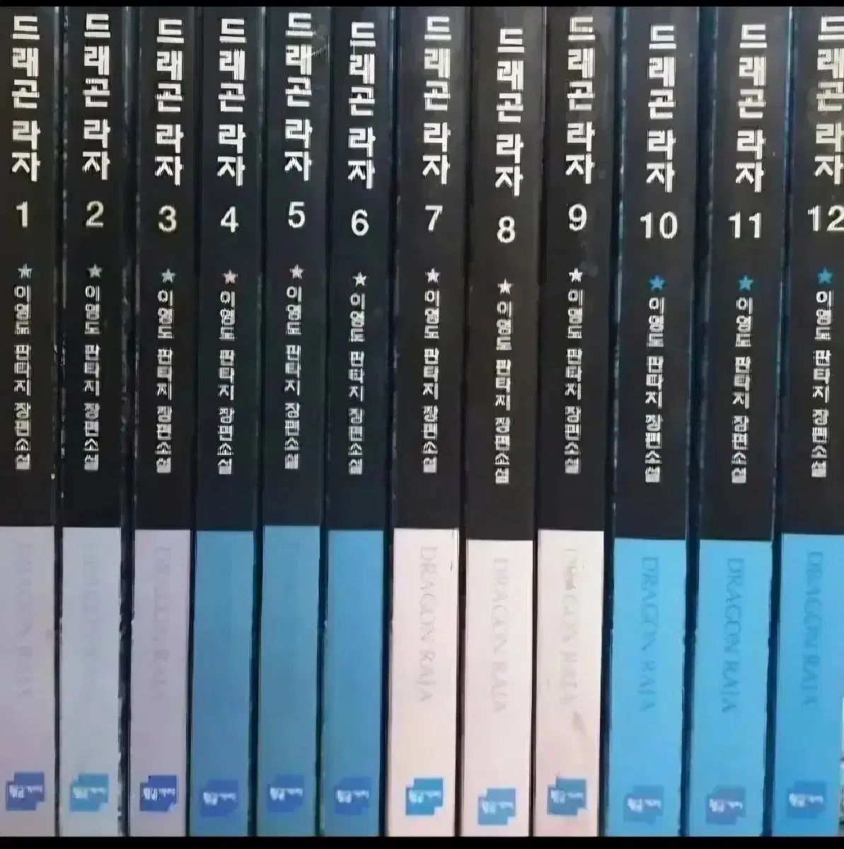 コレクション用 上級書籍 Dragon Diffusion ドラゴンディフュージョン ラジャ 1 12完