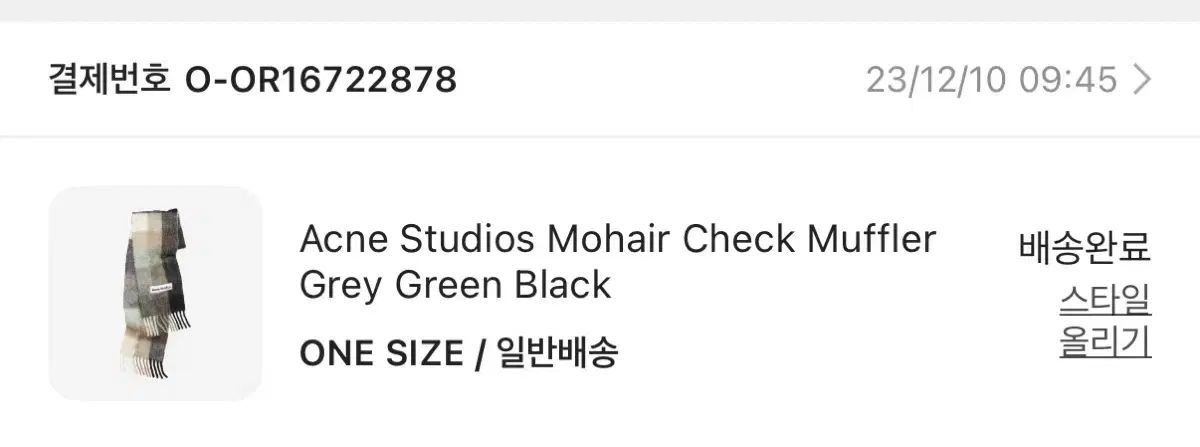 Acne Studios アクネストゥディオズ モヘア CHECK マフラー グリーン グレー ブラック