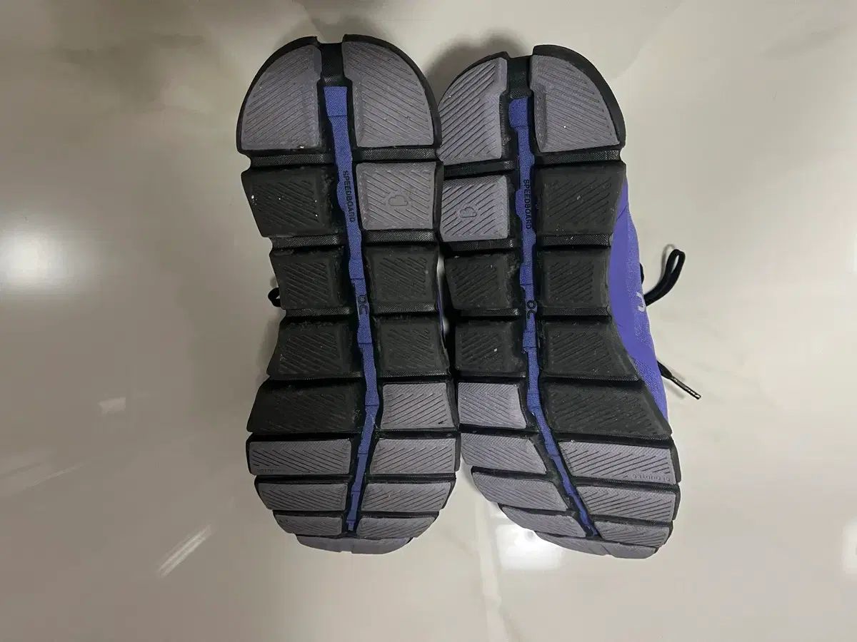 3 ブルーベリー