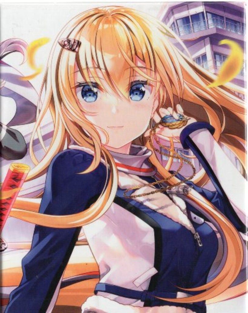 アニメBlu ray 店舗共通特典BOX付 戦翼のシグルドリーヴァ 完全生産 版 全6巻 セット