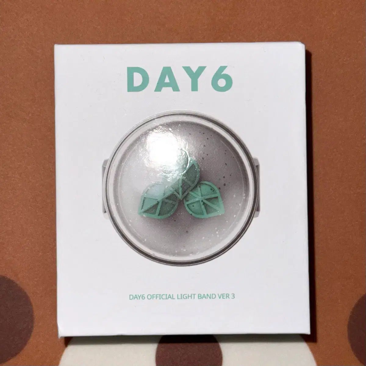 DAY6（デイシックス） デイシックス OFFICIAL LIGHT BAND Day6 ペン