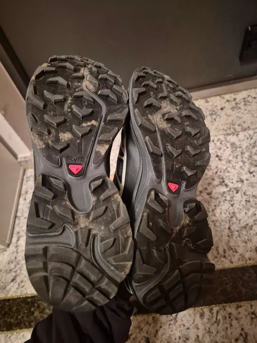 ブラック エボニー