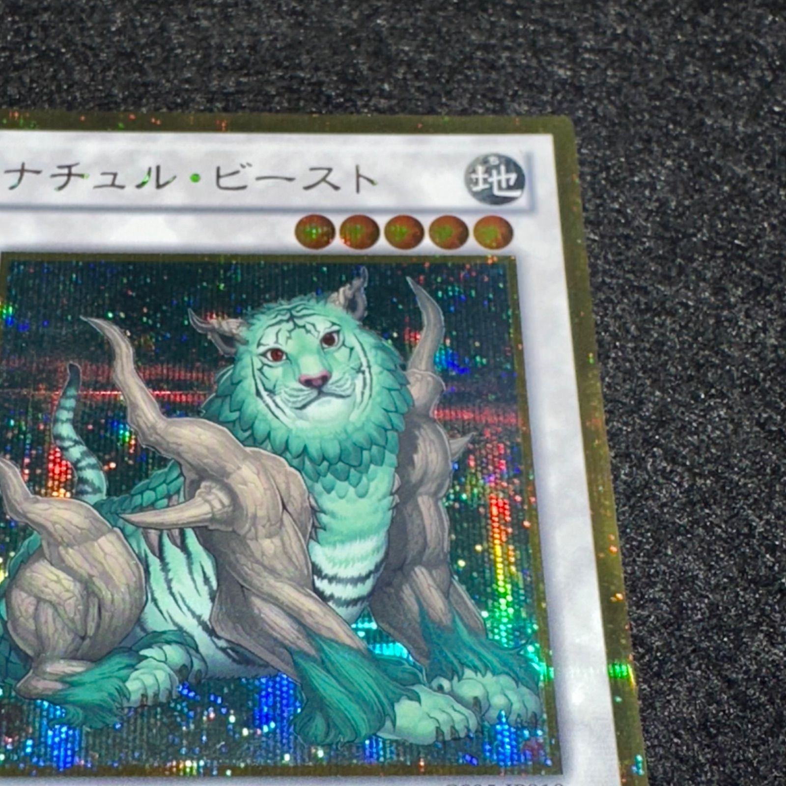 遊戯王】No.3087 ナチュルビースト ゴルシク ゴールド シークレット 1
