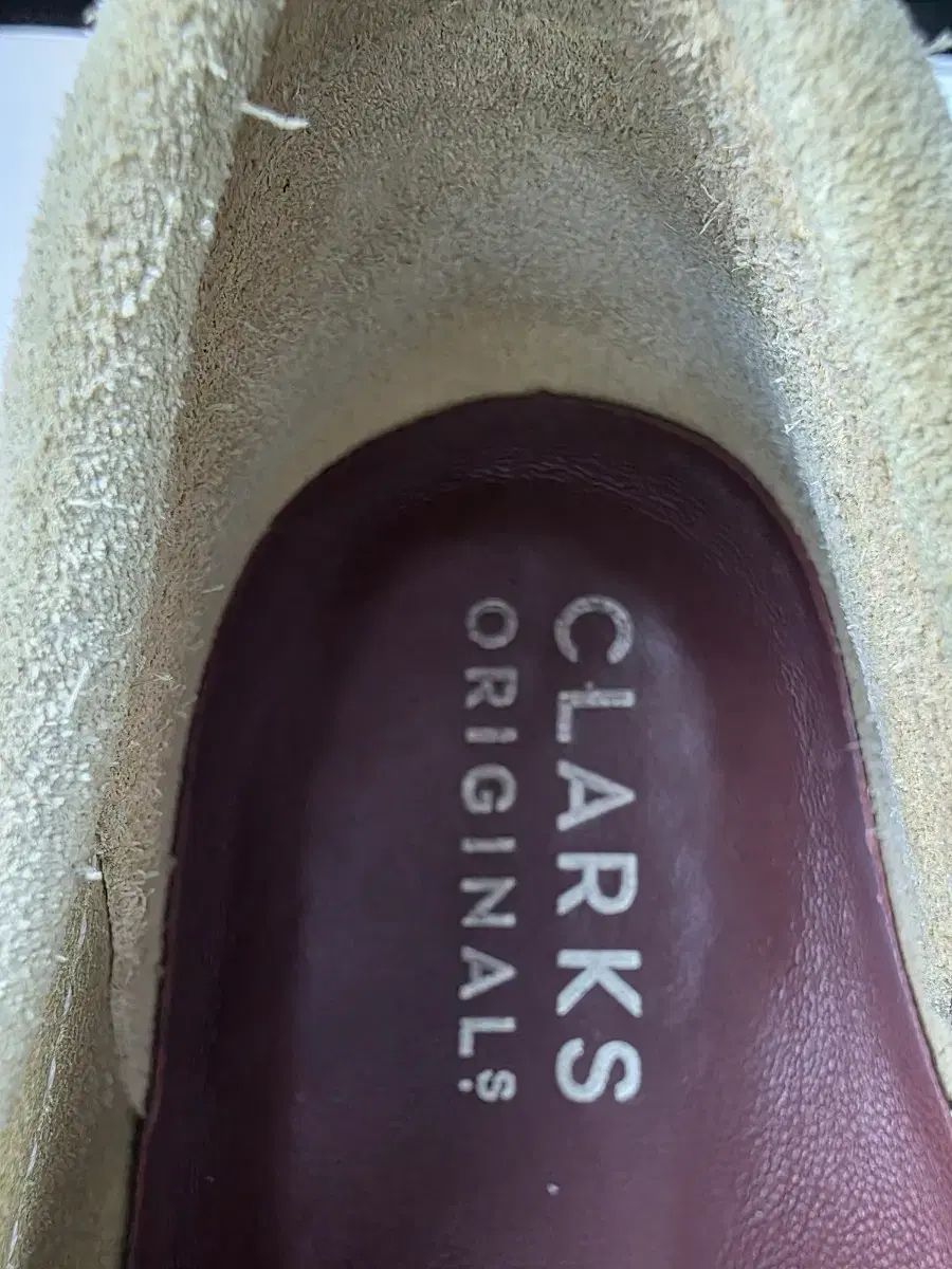 オリジナルズ ワラビー