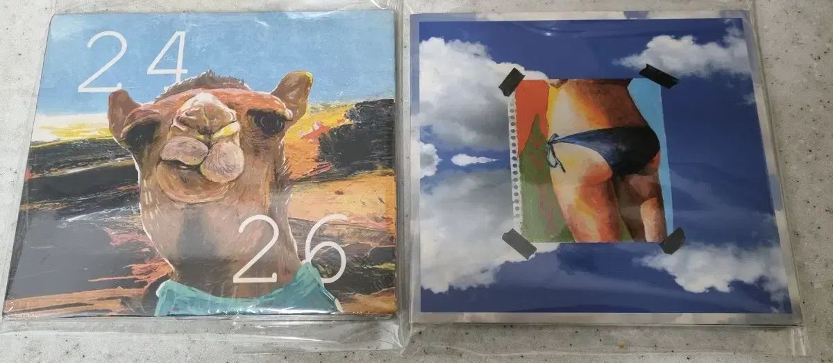 ヴィンツィーノ 2426 up all night