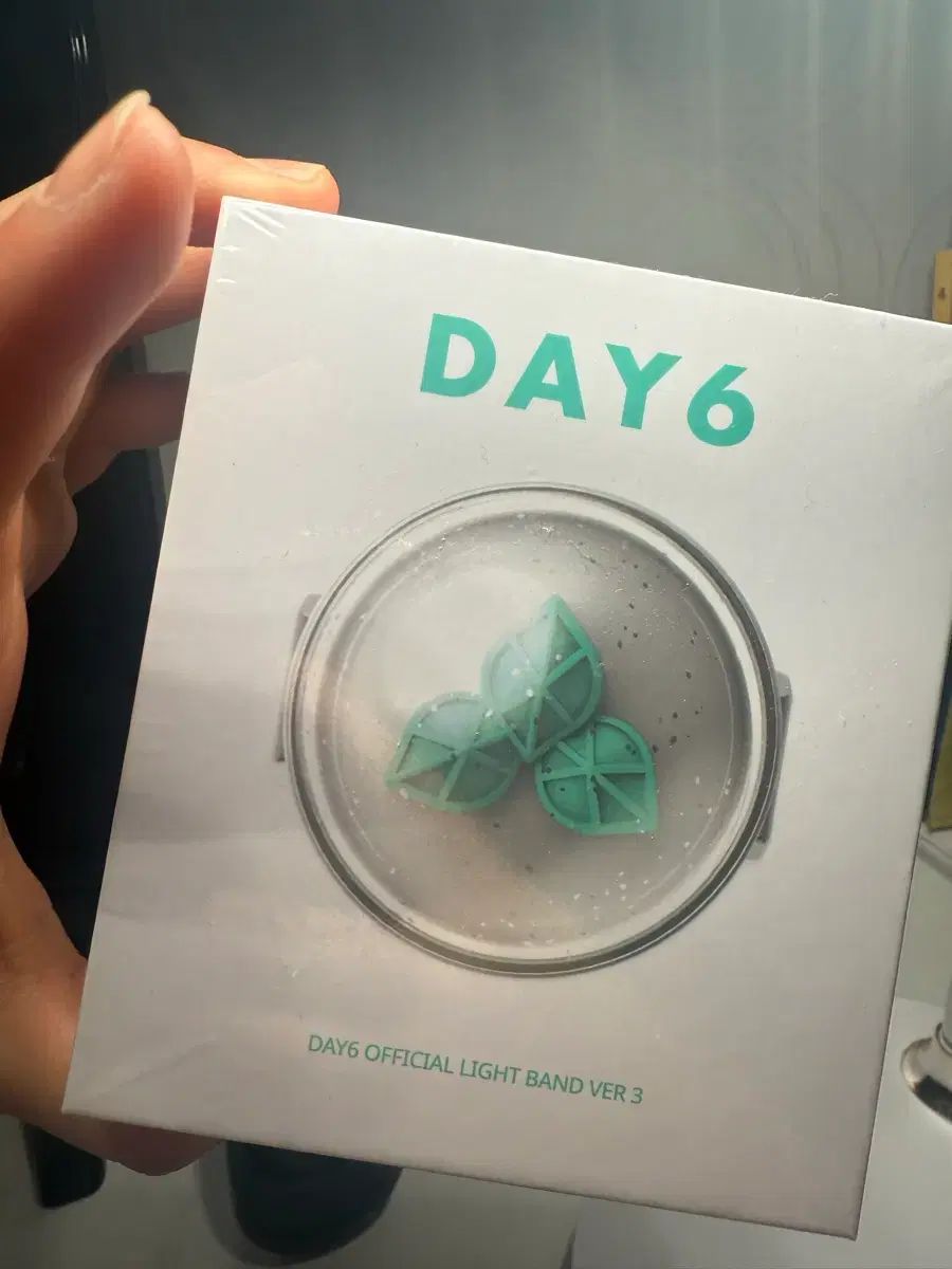 DAY6 ペンライト3 未開封 DAY6 ペンライト 未開封 1本 出品 公式DAY6
