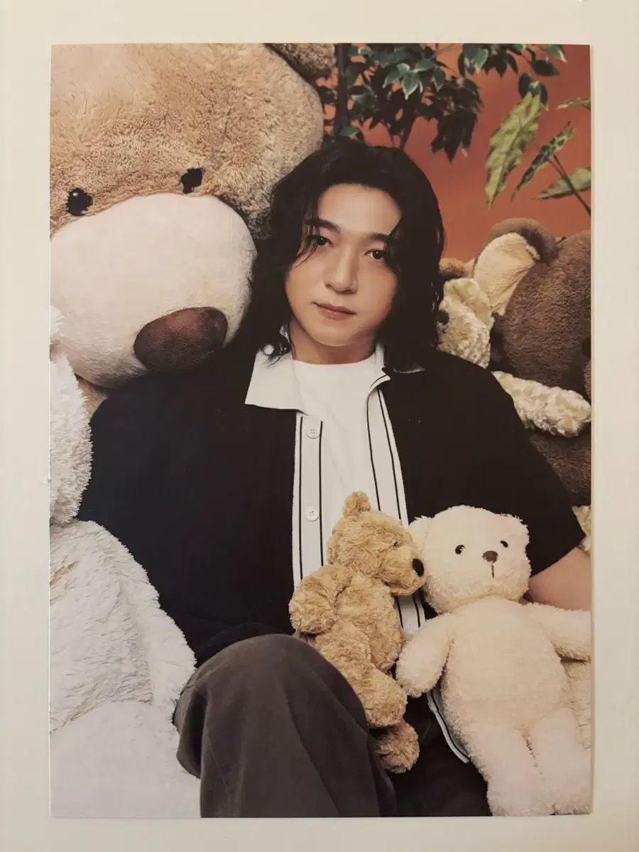 2026 DAY6（デイシックス） シーグリ シーズングリーティング ソンジン