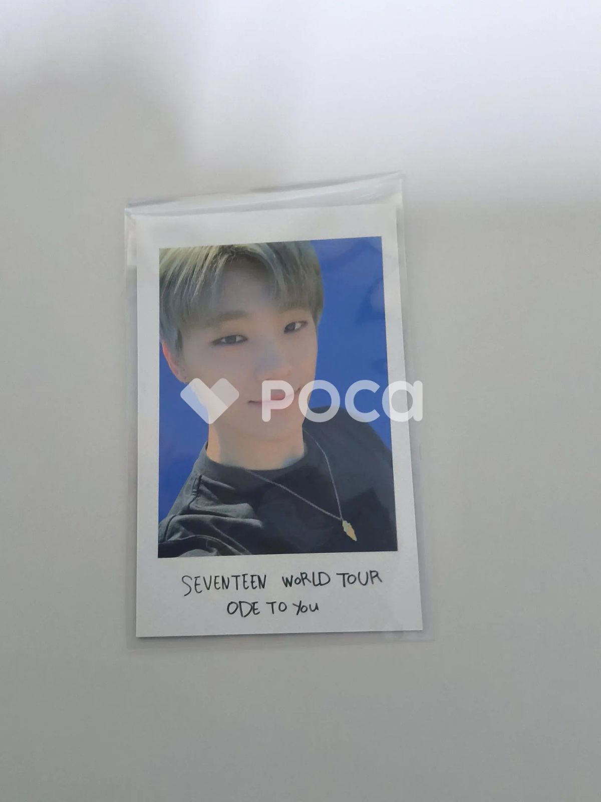 Seventeen ディノ セブチ SEVENTEEN WORLD TOUR ODE TO YOU チェキ