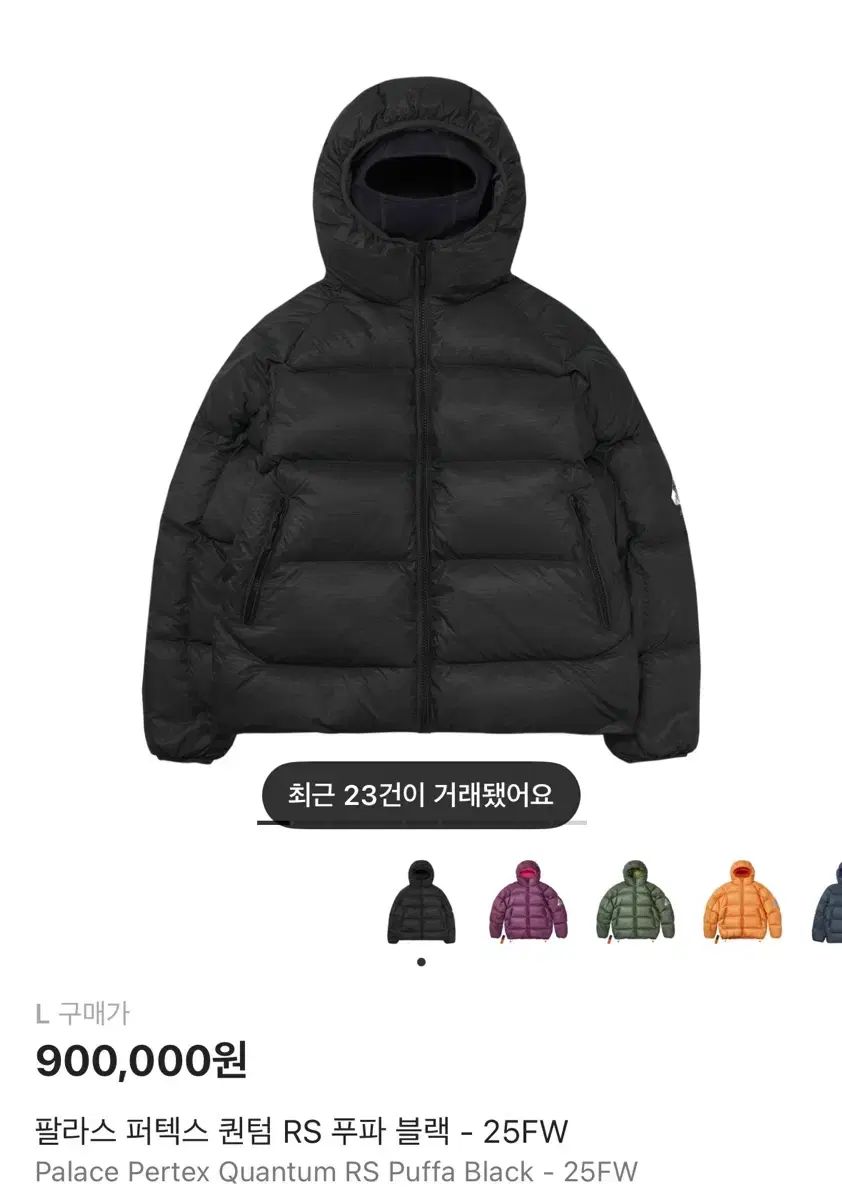 パレス パーテックス クォンタム RS パファー ブラック 25 FW L