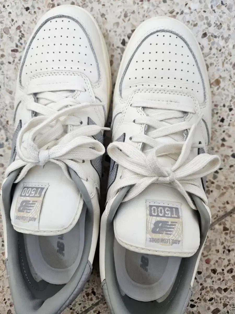 ニュー ンス x エメ レオン ドール T 500 グレー