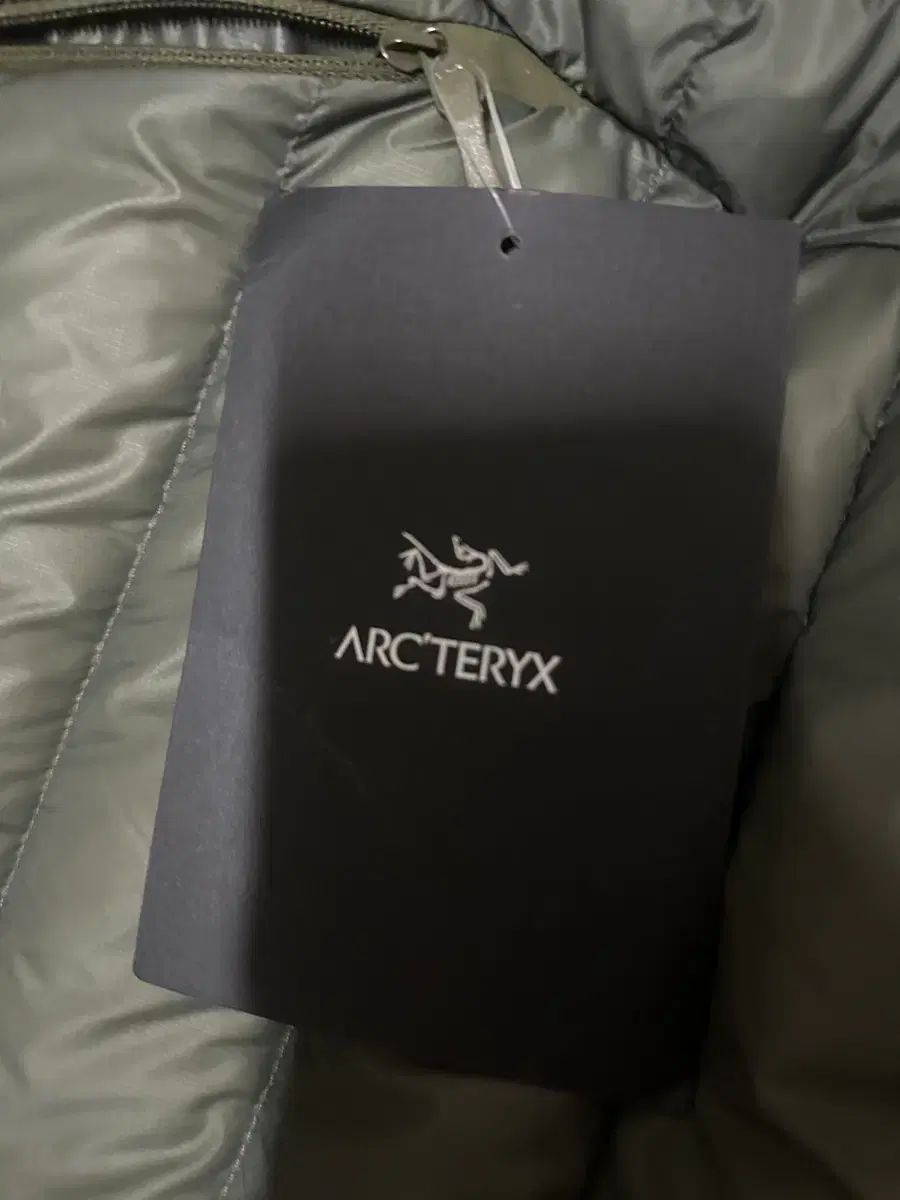  L アークテリクス セリウム フーディー ポリッジ ベールベ その他 アウター