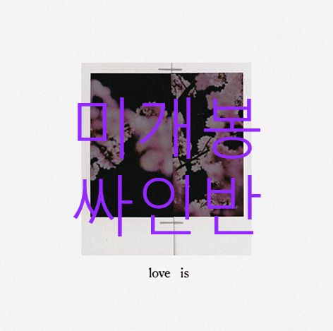 サイン盤 右と左 Owen ー Love Is CD